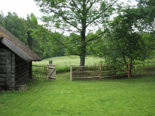 Zedeņu žogs pie rijas